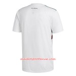 Maillot/Tenue Mexique Exterieur Coupe du monde 2018